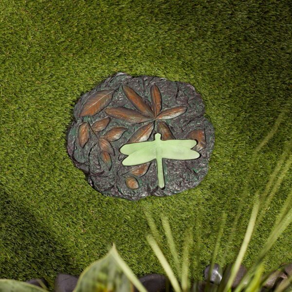dragonfly stepping stone, Dragonfly Stepping Stone