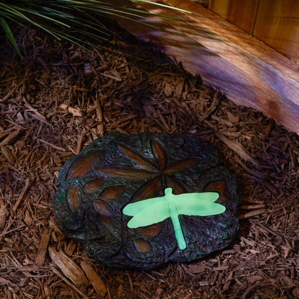 dragonfly stepping stone, Dragonfly Stepping Stone