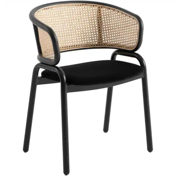 , Dining Chair With Stainless Steel Legs Velvet Seat and Wicker Back