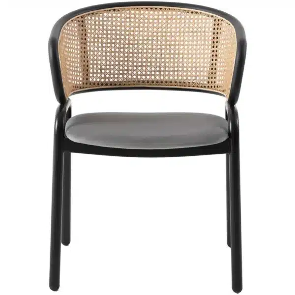 , Dining Chair With Stainless Steel Legs Velvet Seat and Wicker Back