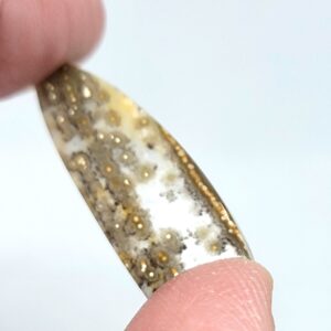 Ocean Jasper Cabochon