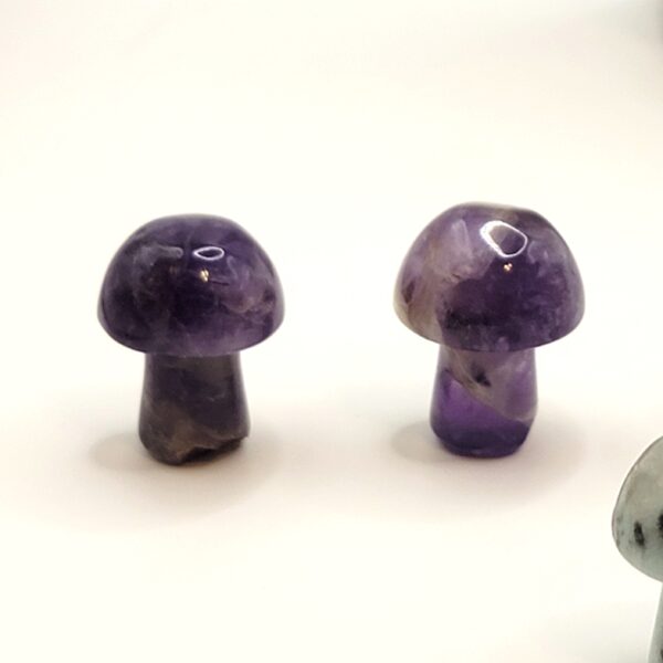 Mini Mushroom Carvings - Image 2