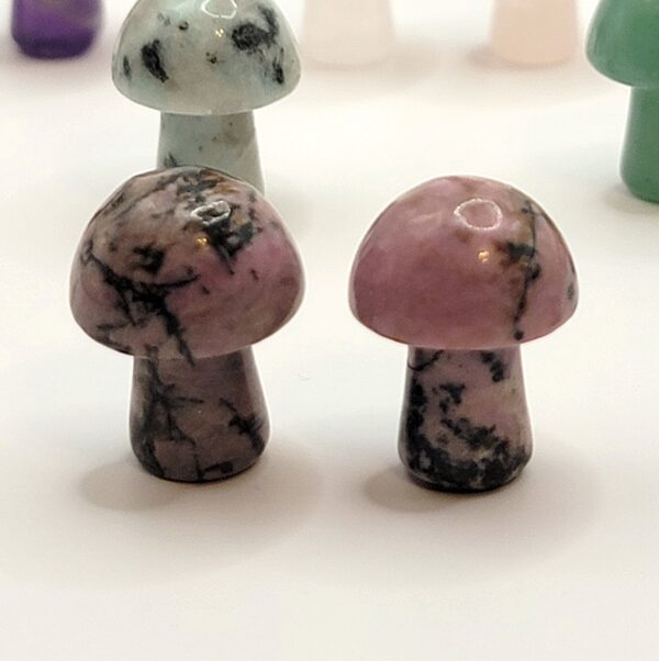Mini Mushroom Carvings - Image 5