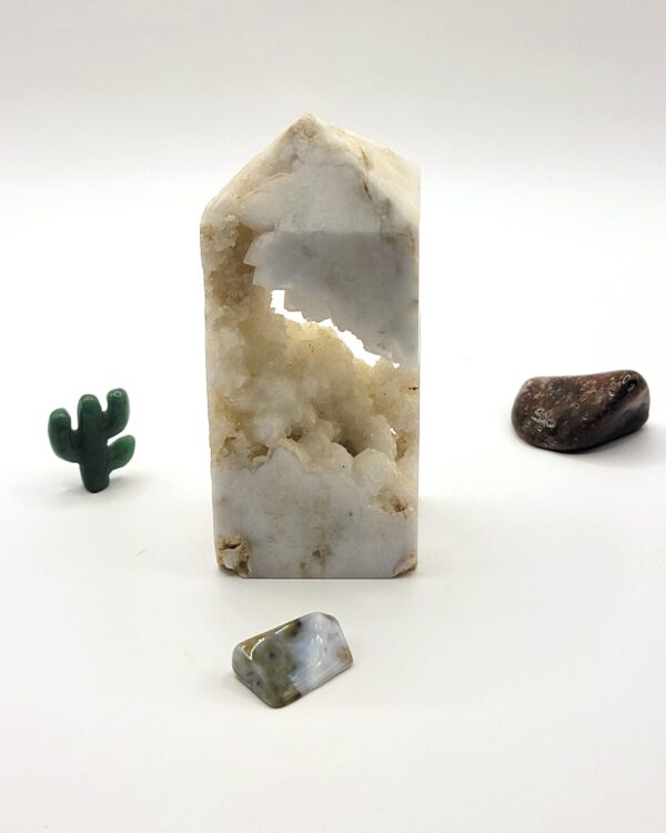 Ocean Jasper Tumbles - Image 2