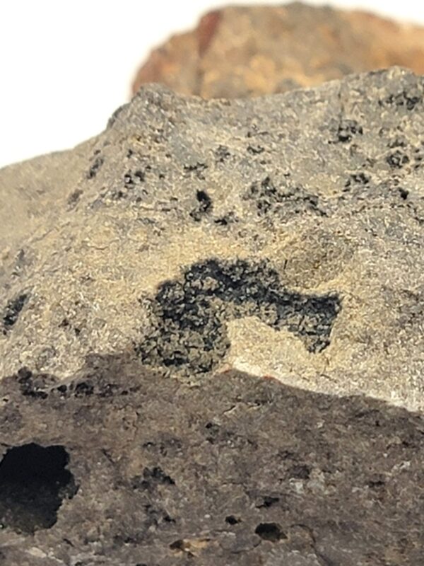 Herkimer Diamond in Matrix Specimen - Image 7