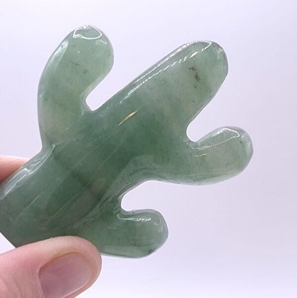 Cactus Carvings - Image 8
