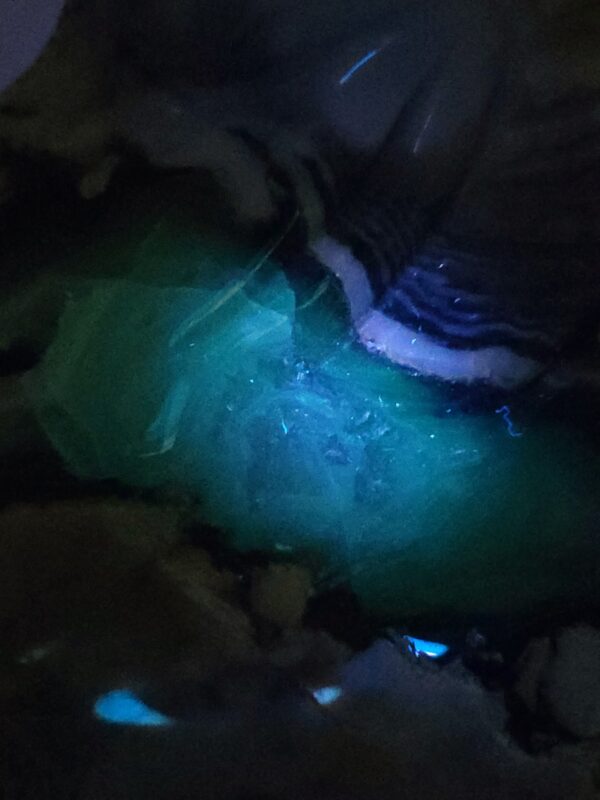 Volcano Agate Horse - Image 18