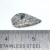 Fossilized Coral Cabochons - Image 13