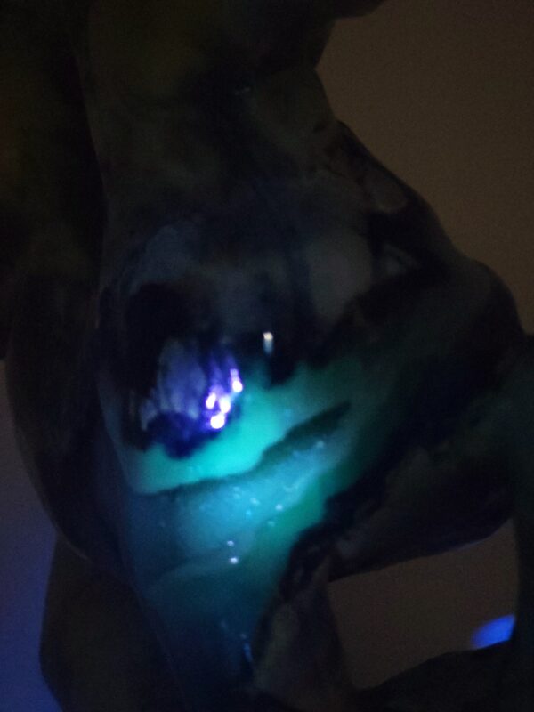Volcano Agate Horse - Image 19