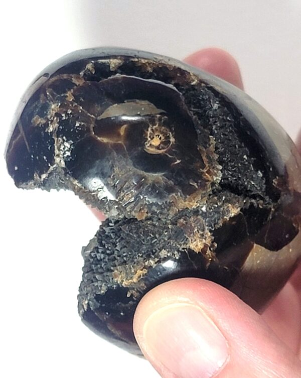 Septarian Drusy Carvings - Image 15