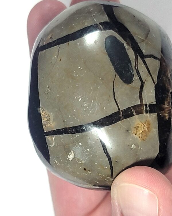 Septarian Drusy Carvings - Image 16