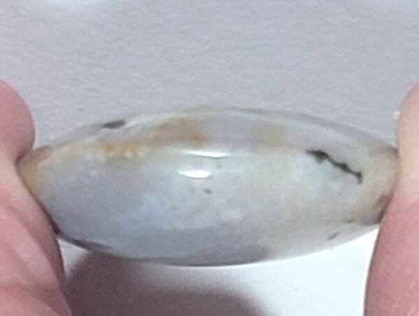 Ocean Jasper Palm Stone - Image 5