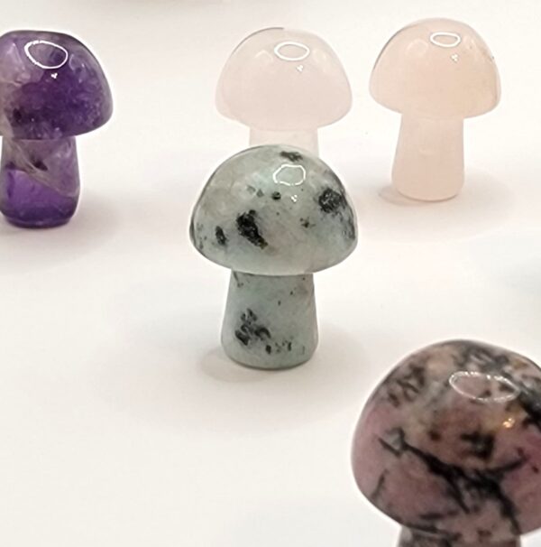 Mini Mushroom Carvings - Image 18