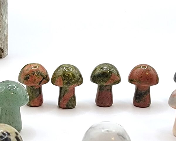 Mini Mushroom Carvings - Image 16