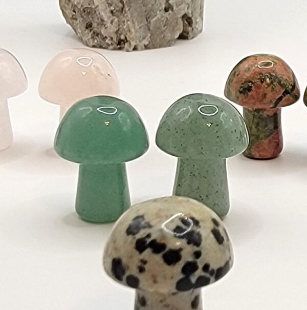 Mini Mushroom Carvings - Image 19