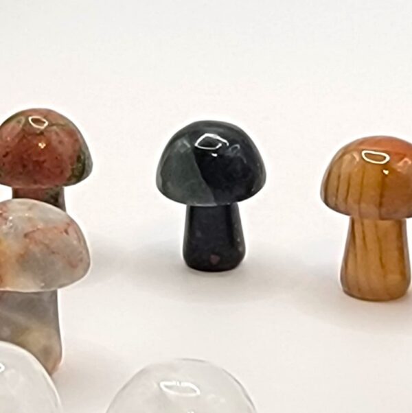 Mini Mushroom Carvings - Image 17