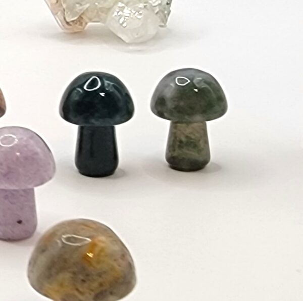 Mini Mushroom Carvings - Image 13