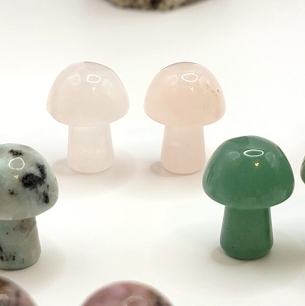 Mini Mushroom Carvings - Image 4