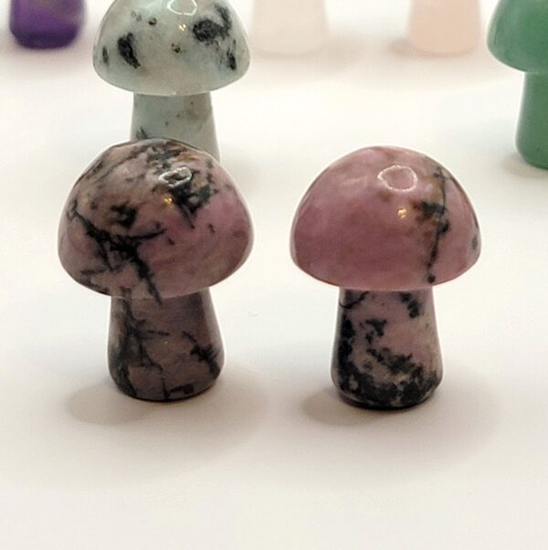 Mini Mushroom Carvings - Image 5
