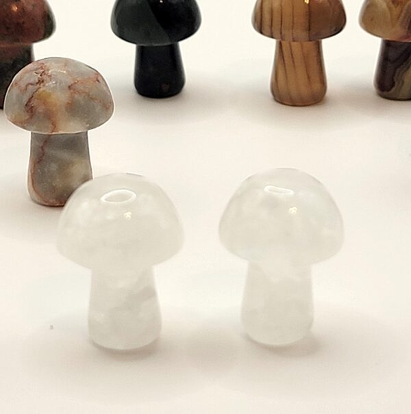 Mini Mushroom Carvings - Image 8