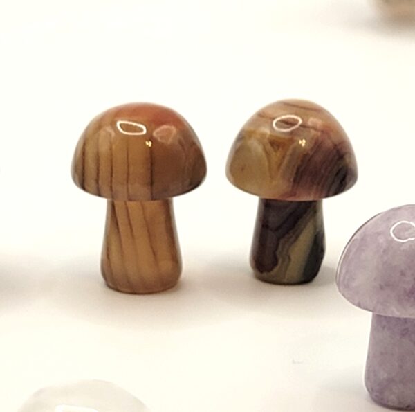 Mini Mushroom Carvings - Image 11