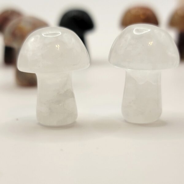 Mini Mushroom Carvings - Image 9