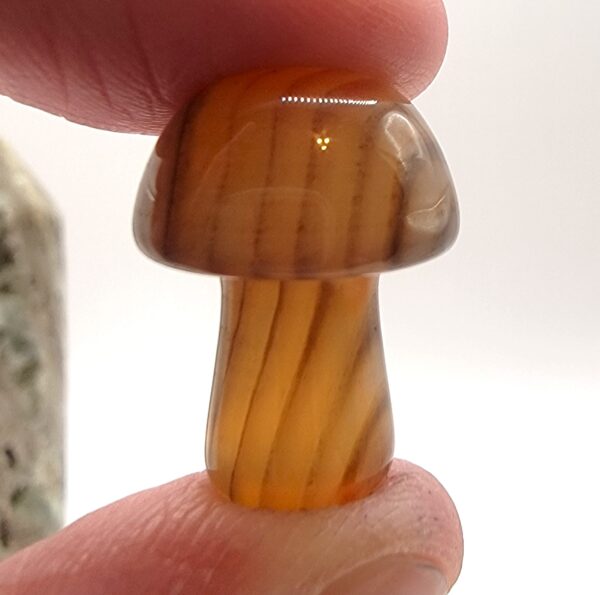 Mini Mushroom Carvings - Image 12