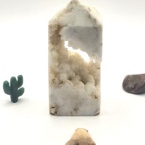 Otodus Shark Tooth Fossil