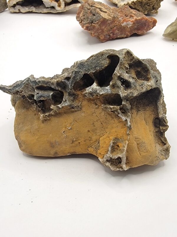 Botryoidal Herkimer Drusy Specimens - Image 3