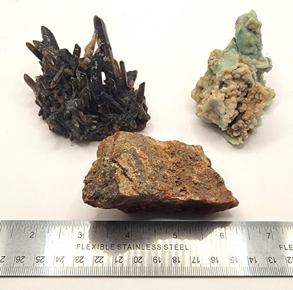 Agatized Petrified Wood - Image 4