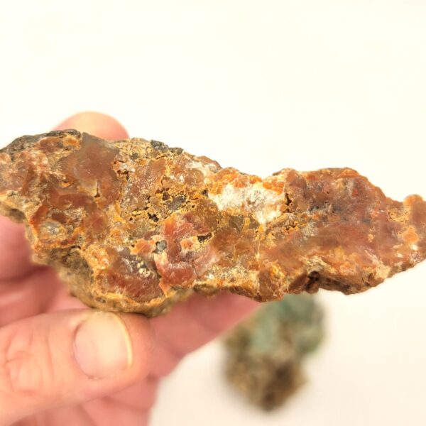 Agatized Petrified Wood - Image 3
