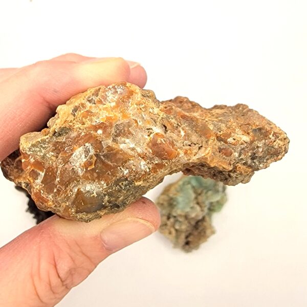 Agatized Petrified Wood - Image 5