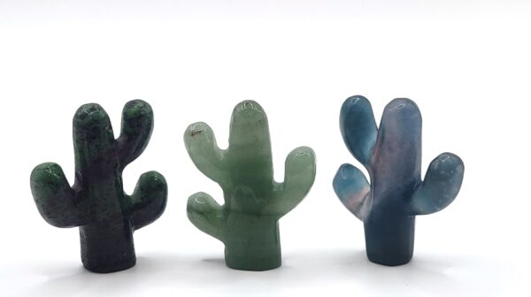 Cactus Carvings - Image 2