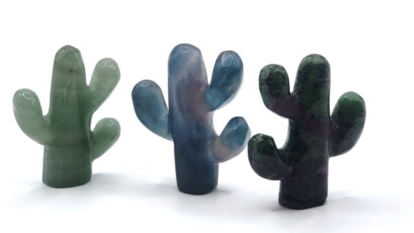 Cactus Carvings