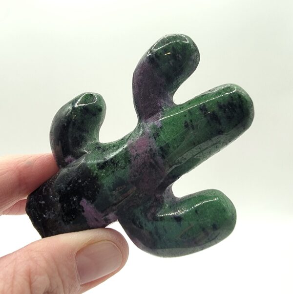 Cactus Carvings - Image 6