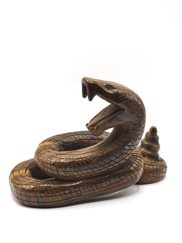 Tiger Eye Rattlesnake - Image 9
