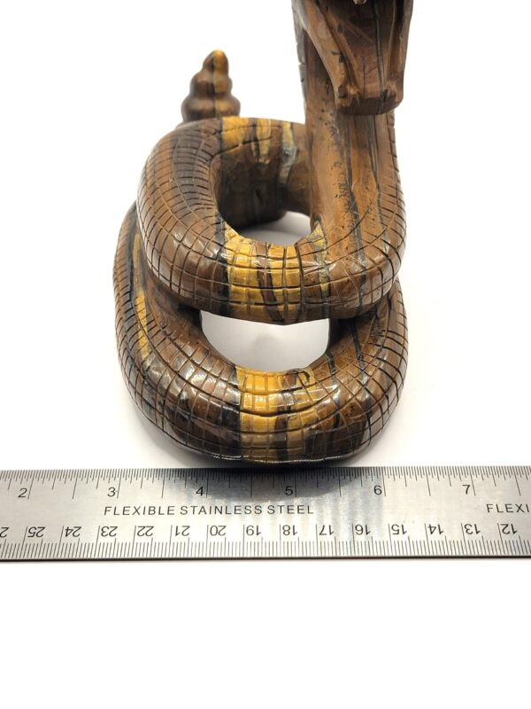 Tiger Eye Rattlesnake - Image 5