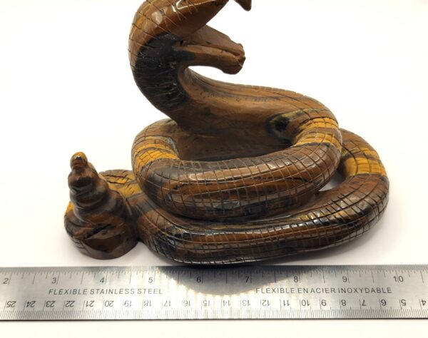 Tiger Eye Rattlesnake - Image 6