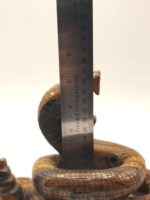 Tiger Eye Rattlesnake - Image 7