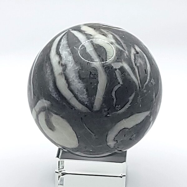 Shell Jasper Spheres - Image 13