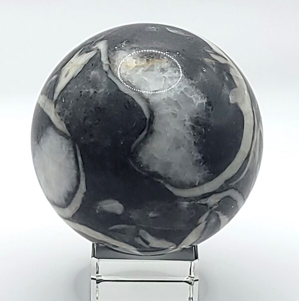 Shell Jasper Spheres - Image 2