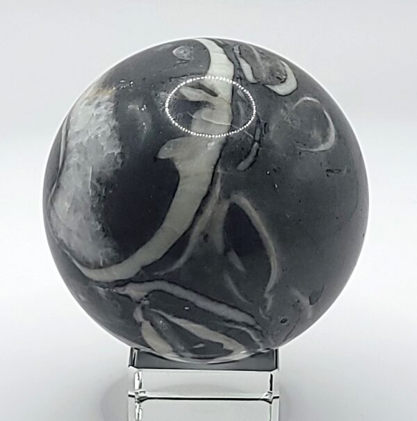 Shell Jasper Spheres - Image 3