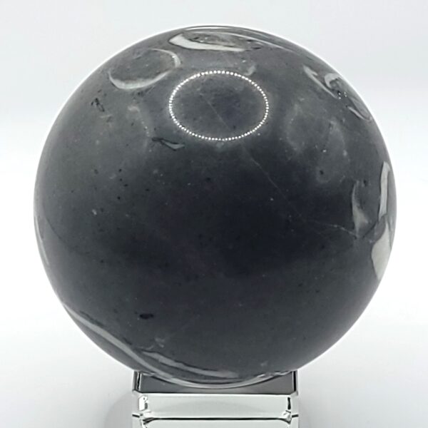 Shell Jasper Spheres - Image 4