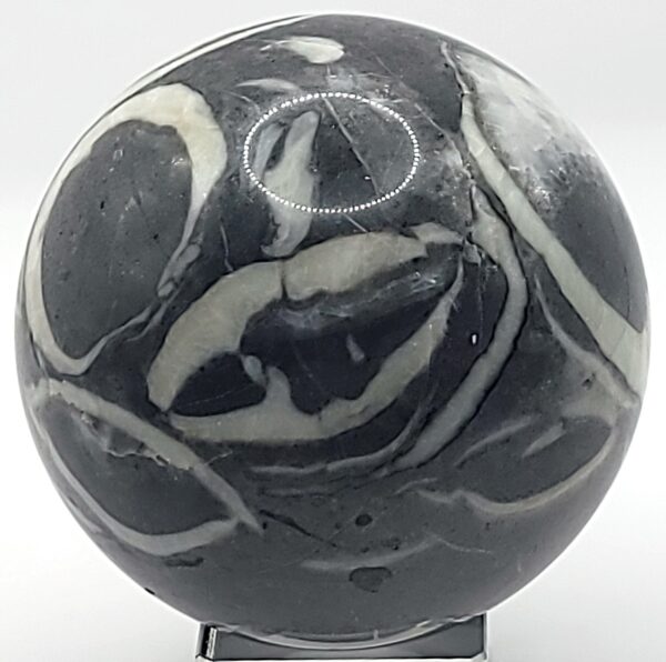 Shell Jasper Spheres - Image 7