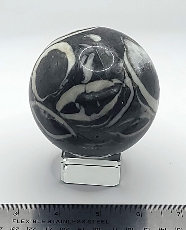 Shell Jasper Spheres - Image 8