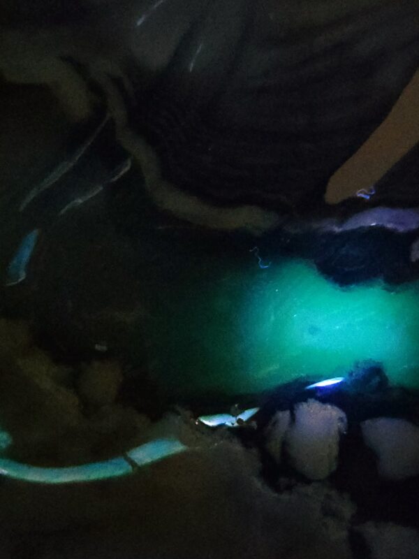 Volcano Agate Horse - Image 28