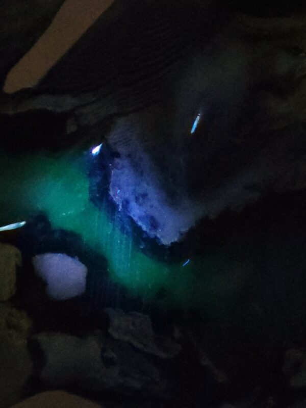 Volcano Agate Horse - Image 22
