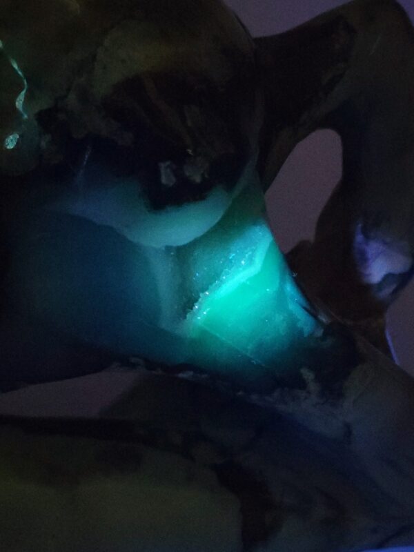 Volcano Agate Horse - Image 27