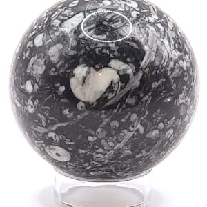 Fossilized Coral Sphere
