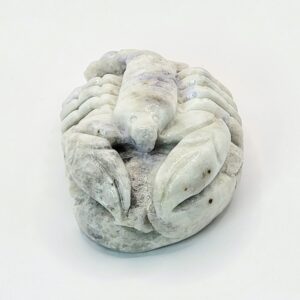 Hackmanite Scorpion Carving